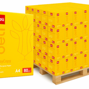 Deli Easycopy 80 gram A4 kopieerpapier 200 pakken